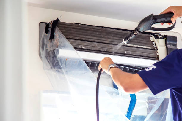 Air Duct Mold Removal in Shaw, MS